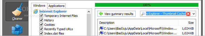 Showing the CCleaner Windows cleaner panel